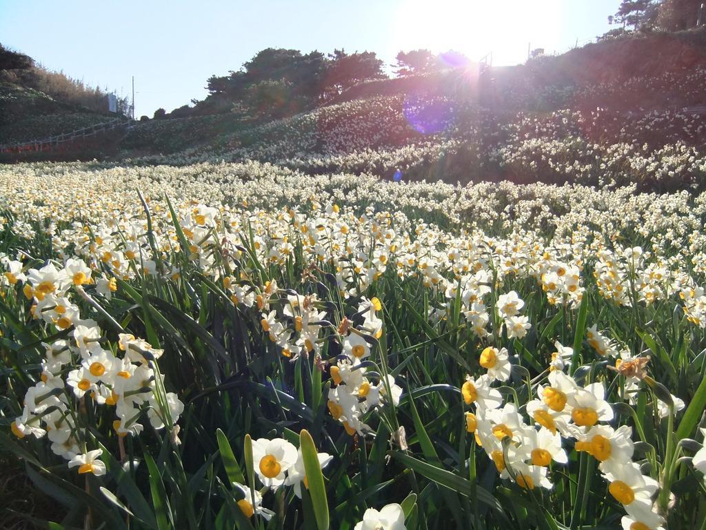 Shimoda Yamatokan Bagian luar foto