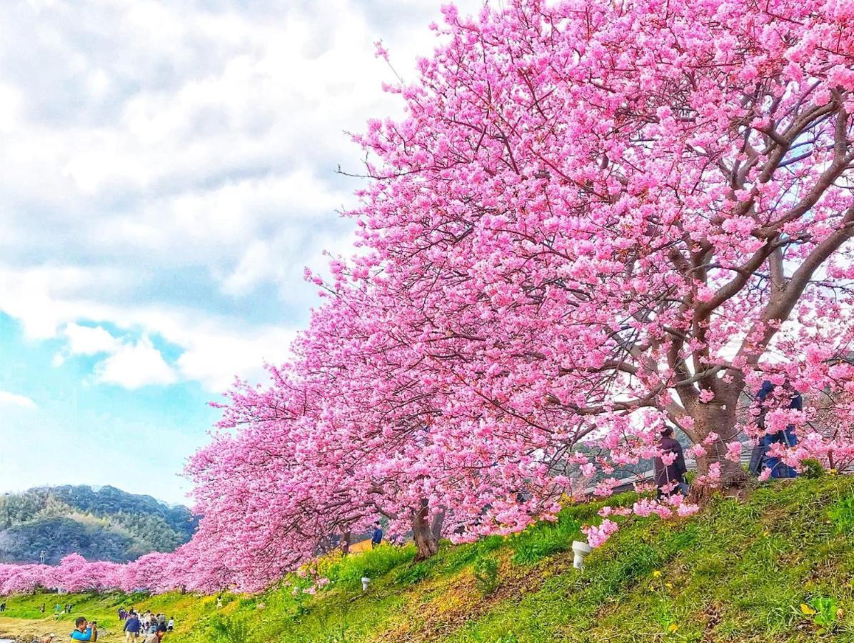 Shimoda Yamatokan Bagian luar foto